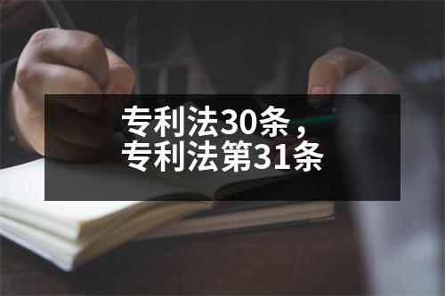 專利法30條，專利法第31條