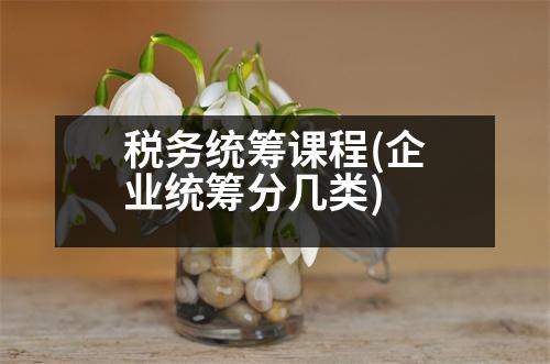 稅務(wù)統(tǒng)籌課程(企業(yè)統(tǒng)籌分幾類)