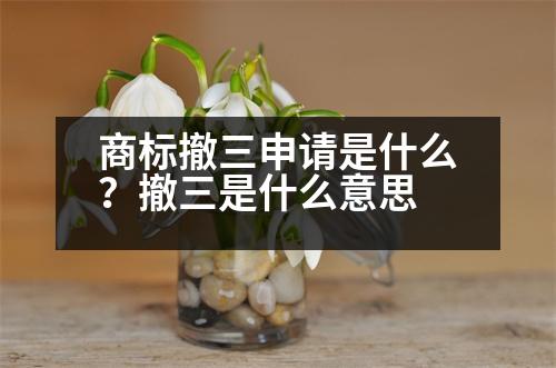 商標(biāo)撤三申請(qǐng)是什么？撤三是什么意思