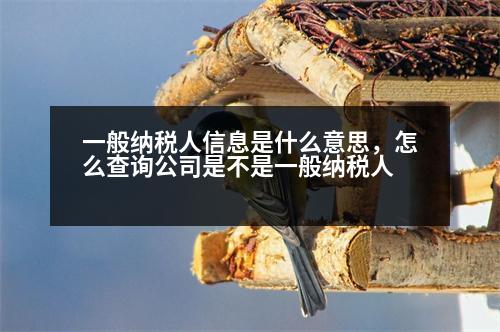 一般納稅人信息是什么意思，怎么查詢公司是不是一般納稅人