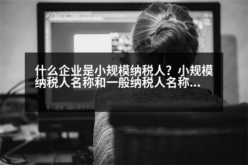 什么企業(yè)是小規(guī)模納稅人？小規(guī)模納稅人名稱和一般納稅人名稱后面都是“公司”嗎