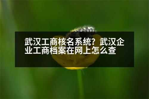 武漢工商核名系統(tǒng)？武漢企業(yè)工商檔案在網(wǎng)上怎么查